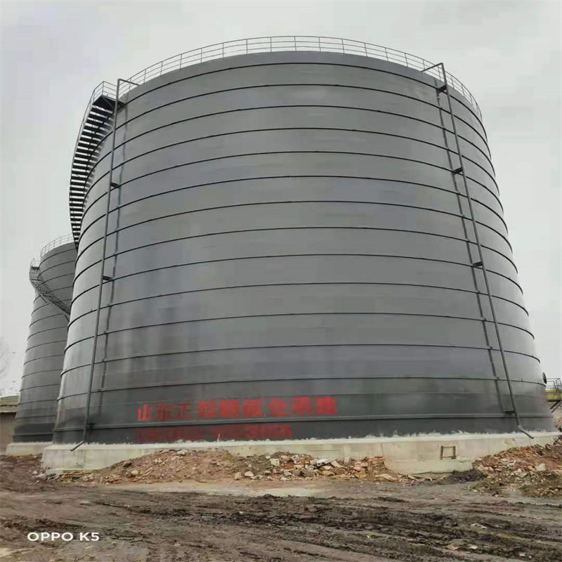 白茅湖农场3万吨大型钢板库