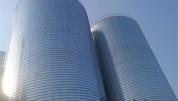 白茅湖农场2座混凝土高架卷板仓